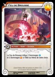Feu de Brousse