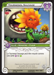 Tournesol Sauvage