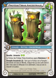 Protège-Tibias Ancestraux