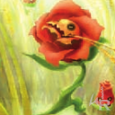 Rose Démoniaque