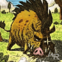 Sanglier des Plaines